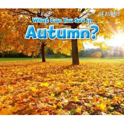 What Can You See In Autumn?