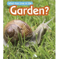 What Can Live in a Garden?