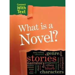 What is a Novel?