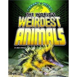 The World's Weirdest Animals