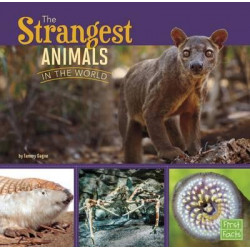 The Strangest Animals in the World