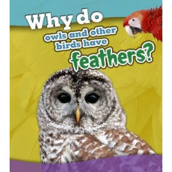 Why do owls and other birds have feathers?
