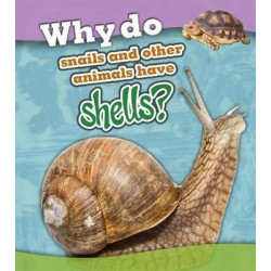 Why do snails and other animals have shells?