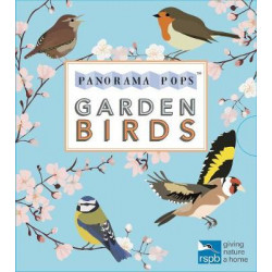 Garden Birds: Panorama Pops