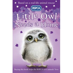 Little Owl Needs a Home