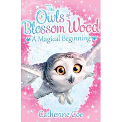 The Owls of Blossom Wood: A Magical Beginning