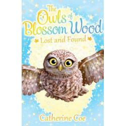 The Owls of Blossom Wood: Lost and Found