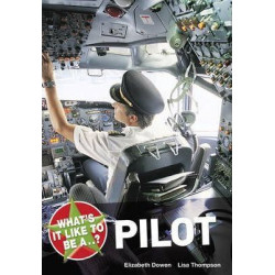 What's it Like to be a Pilot?