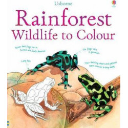 Rainforest Wildlife to Colour