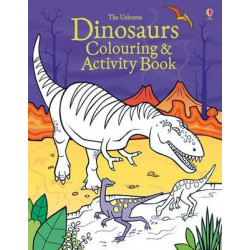 Dinosaurs Colouring and Activity book