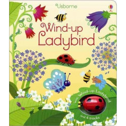 Wind-Up Ladybird
