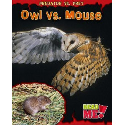 Owl vs. Mouse
