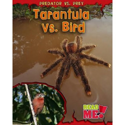 Tarantula vs. Bird