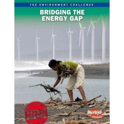 Bridging the Energy Gap