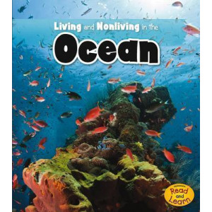 Living and Nonliving in the Ocean
