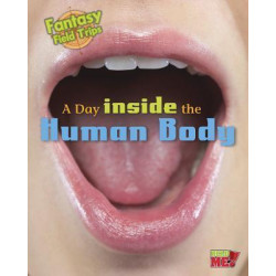 A Day Inside the Human Body