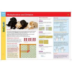 Multiplication and Division FlashCharts