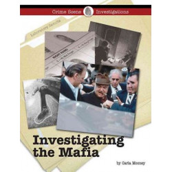 Investigating the Mafia