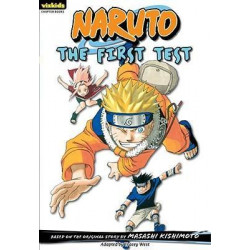 Naruto, Volume 10