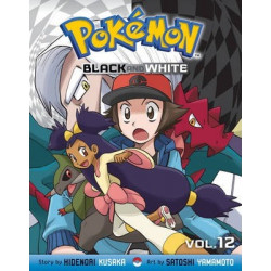 Pokemon Black and White, Vol. 12