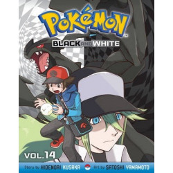 Pokemon Black and White, Vol. 8