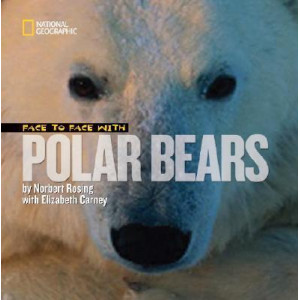 Face to Face with Polar Bears