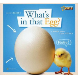 Zigzag: What's in That Egg?