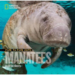 Face to Face with Manatees