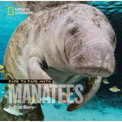 Face to Face with Manatees