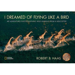 I Dreamed of Flying Like A Bird