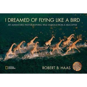 I Dreamed of Flying Like A Bird