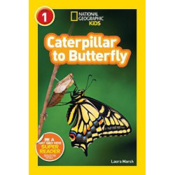 National Geographic Kids Readers: Caterpillar to Butterfly
