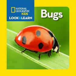 Look and Learn: Bugs