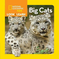 Look and Learn: Big Cats