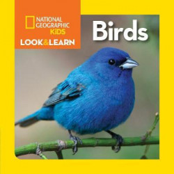 Look and Learn: Birds
