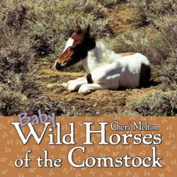 Baby Wild Horses of the Comstock
