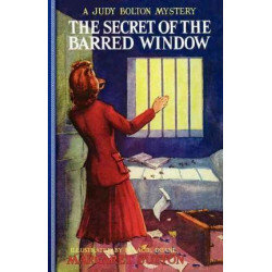 Secret of the Barred Window #16