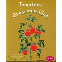Tomatoes Grow on a Vine