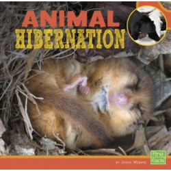 Animal Hibernation