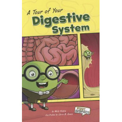 A Tour of Your Digestive System