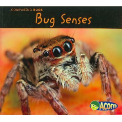Bug Senses