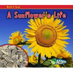 A Sunflower's Life