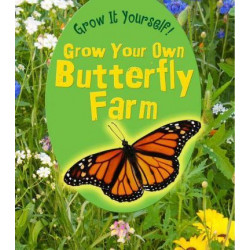 Grow Your Own Butterfly Farm