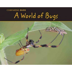 A World of Bugs