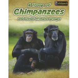 A Troop of Chimpanzees