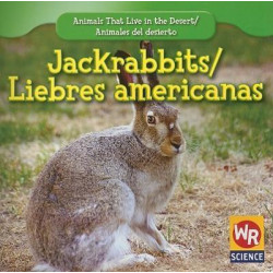 Jackrabbits/Liebres Americanas