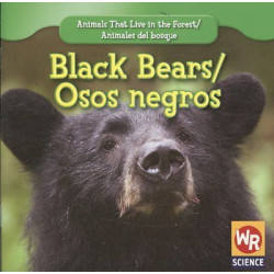 Black Bears/Osos Negros