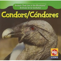 Condors/Condores