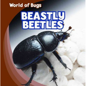 Beastly Beetles