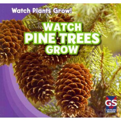Watch Pine Trees Grow